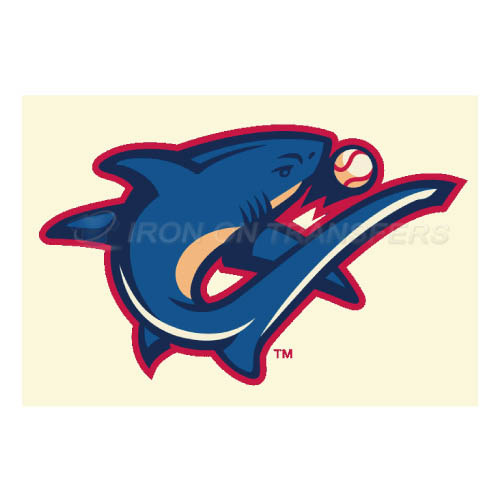 Clearwater Threshers Iron-on Stickers (Heat Transfers)NO.7892